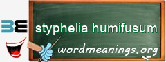 WordMeaning blackboard for styphelia humifusum